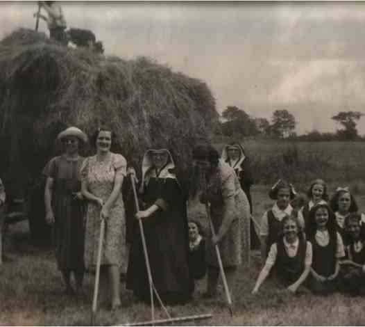 Hay Making - 1940s